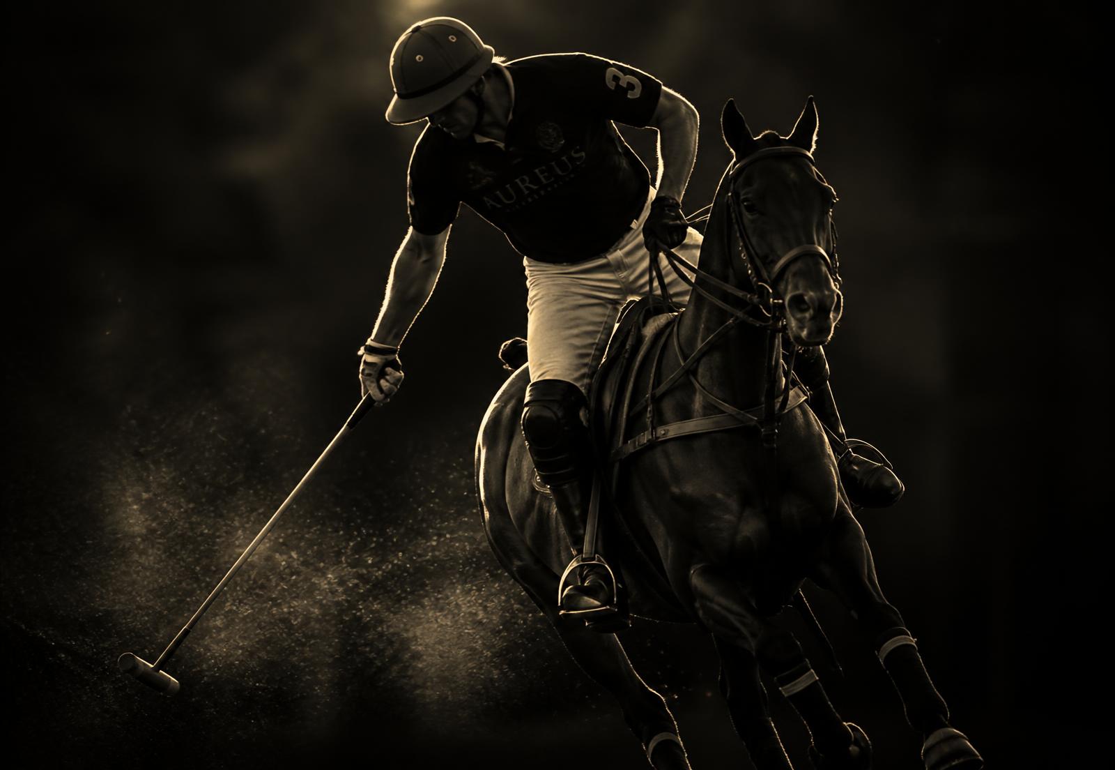Cavaleiro de polo em movimento, imagem institucional do Grupo Studio